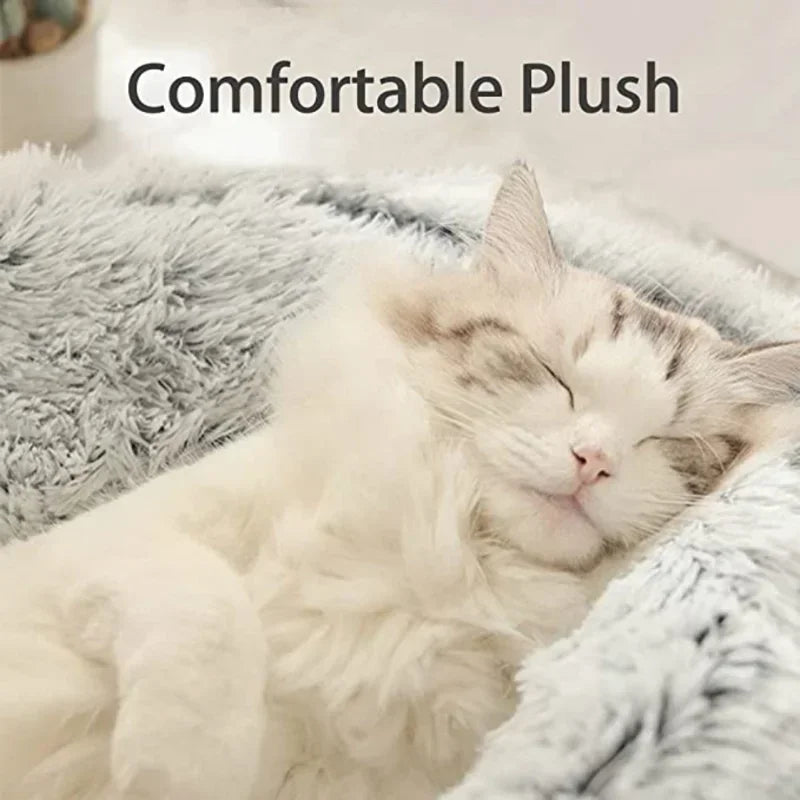 CozyNest™ – 2-in-1 Warm & Cozy Cat Cave Bed